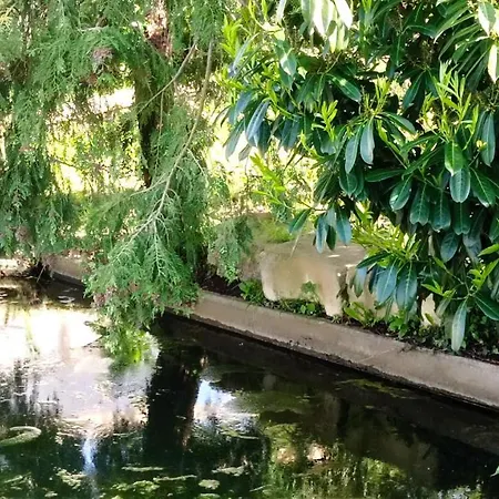 Maris Domus Pres Des Plages Du Debarquement Lejlighed Bayeux