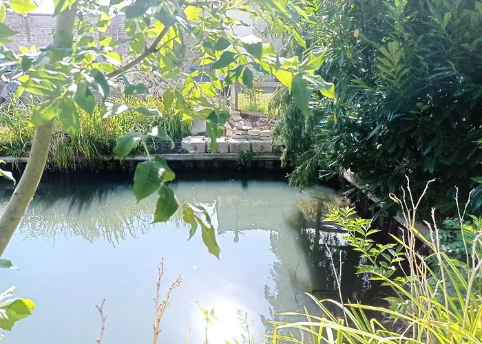 Maris Domus Près Des Plages Du Débarquement Appartement *